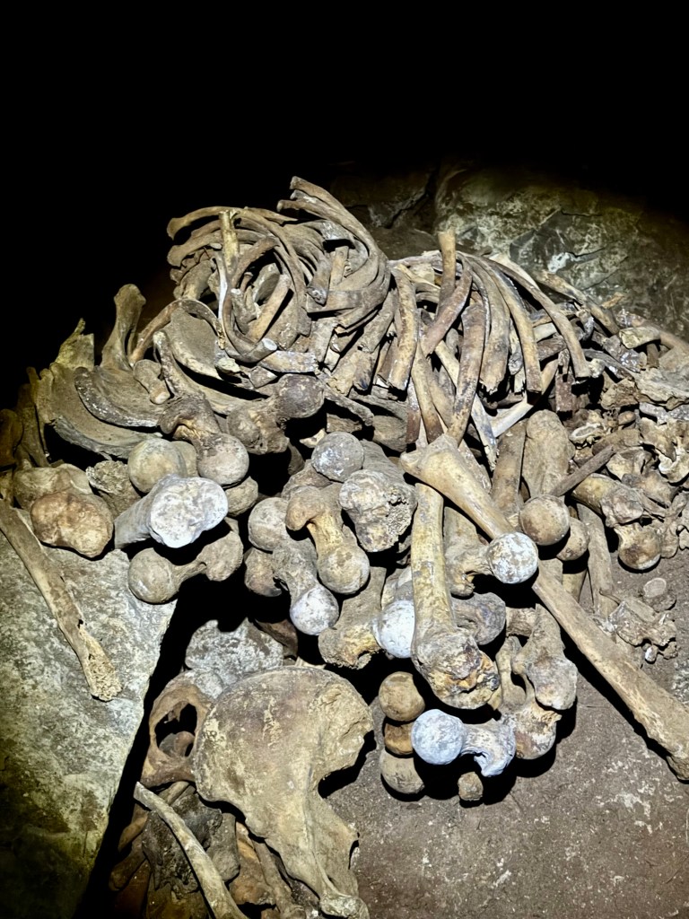 Pile of bones found about a half kilometer into the cave. 